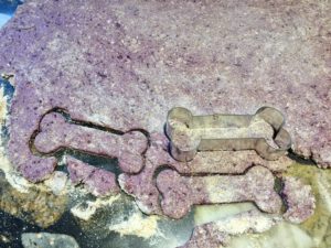 baked-dog-treat-recipe